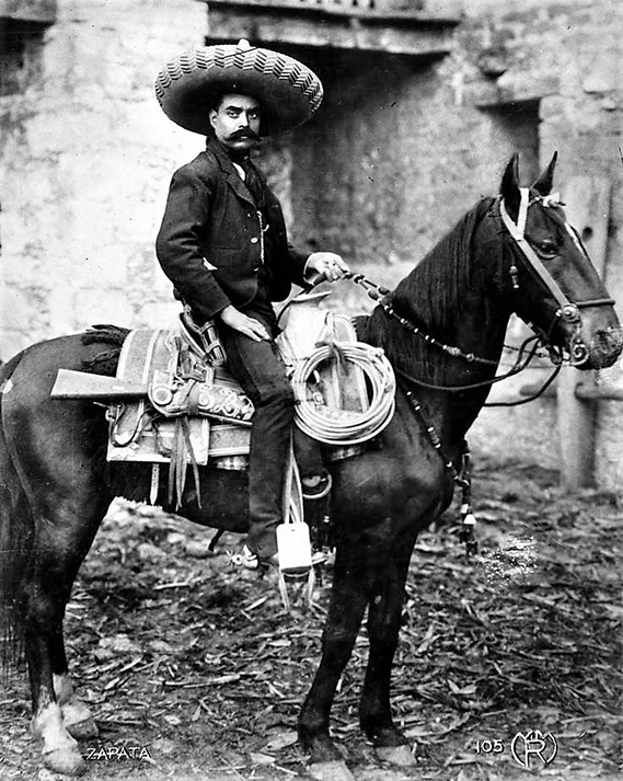 Zapata